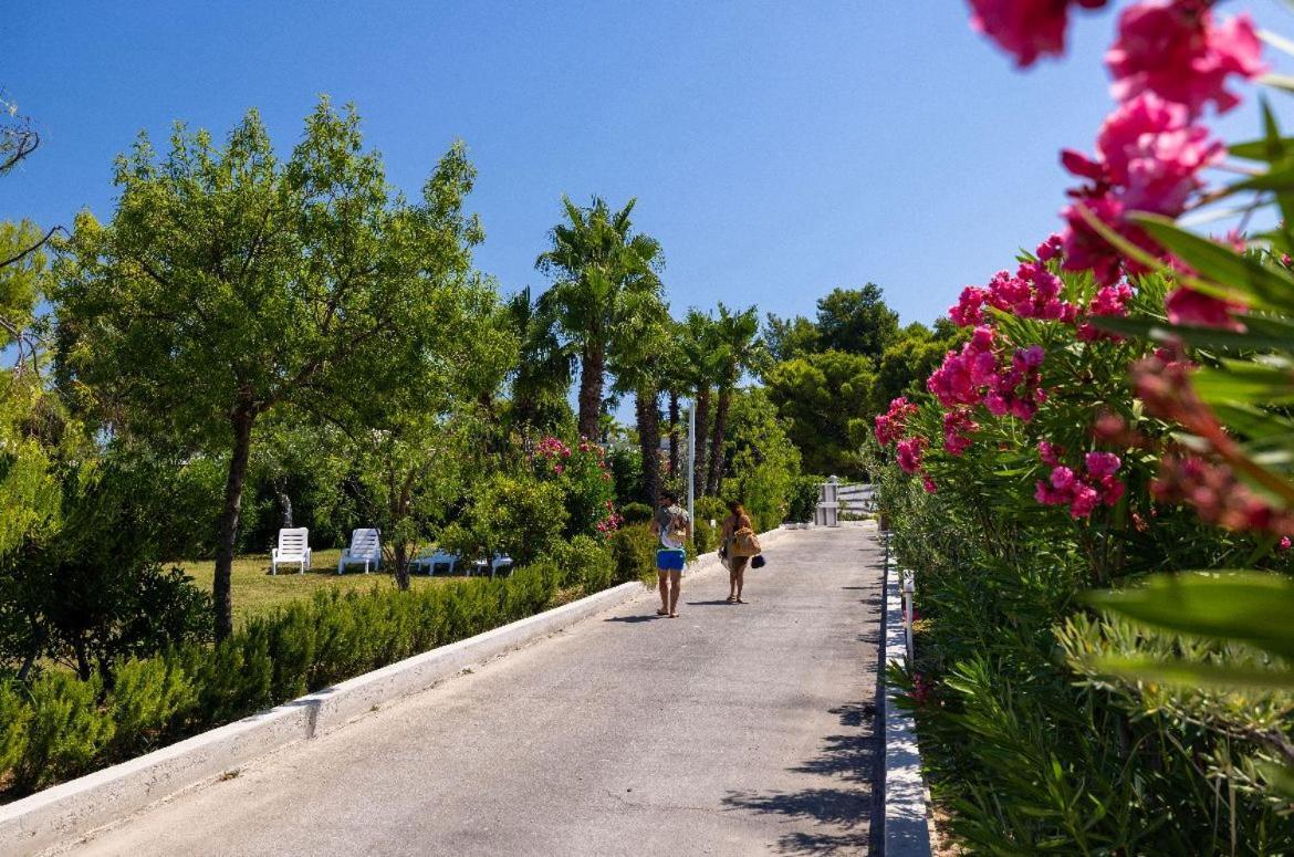 Aria Di Mare Vieste - Luxury Apartments By The Sea Exteriér fotografie