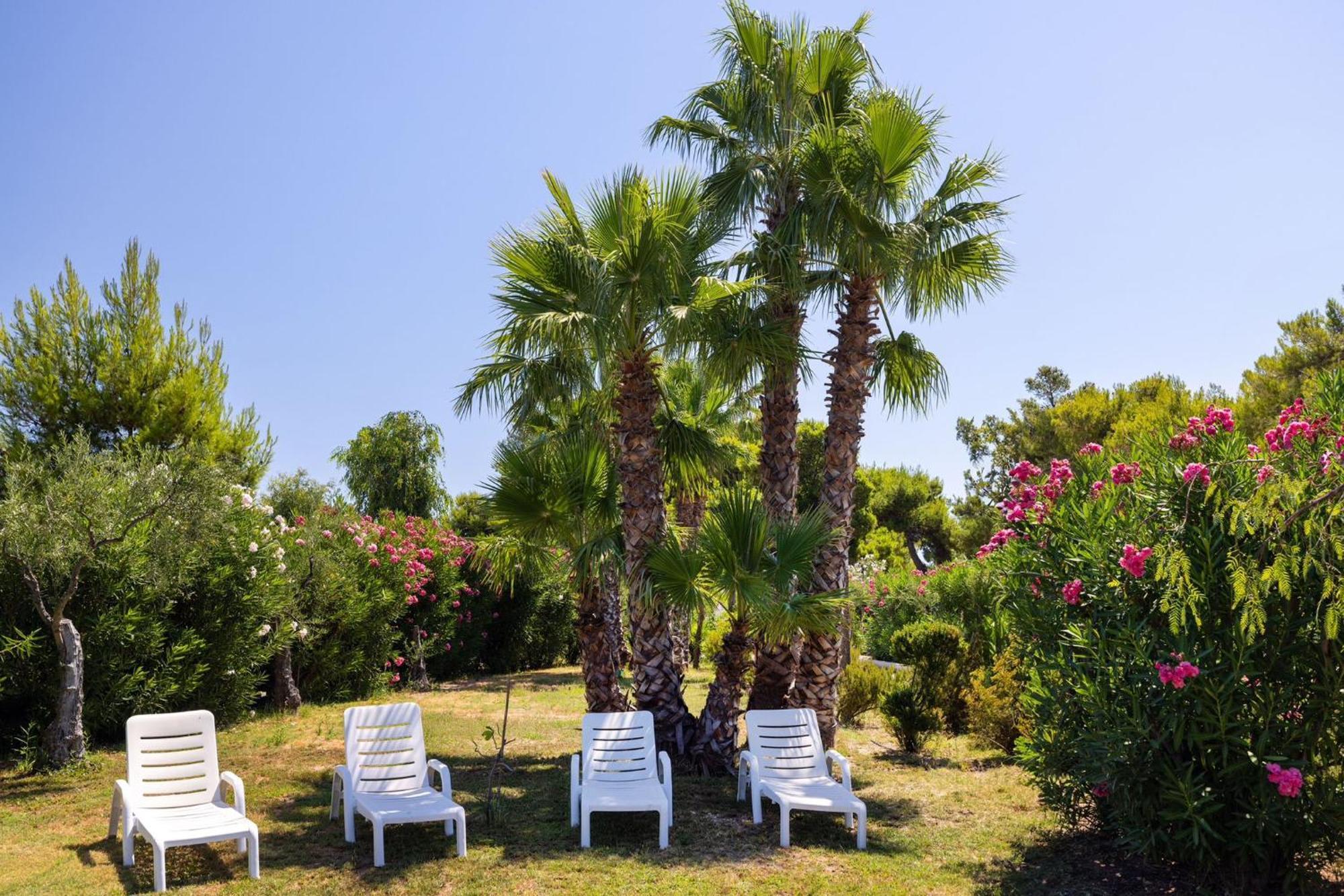 Aria Di Mare Vieste - Luxury Apartments By The Sea Exteriér fotografie